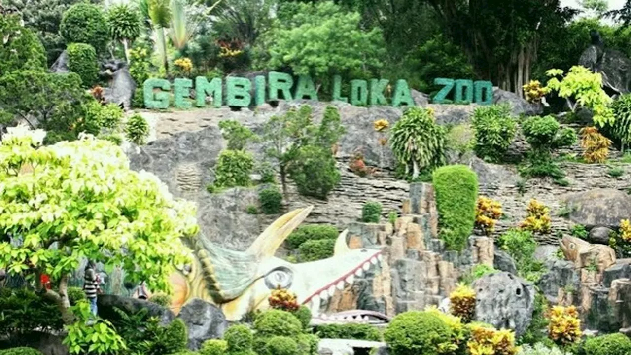 Daya Tarik Gembira Loka Zoo, Wisata Ramah Anak untuk Liburan Akhir Tahun