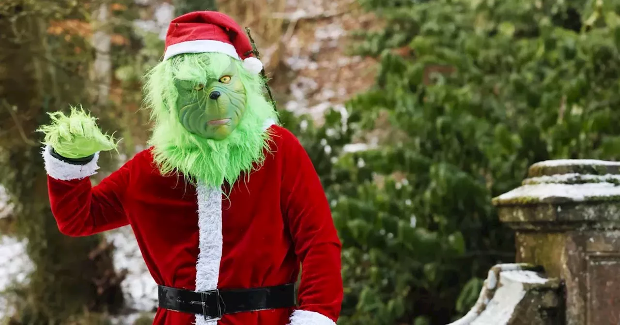 'I dress as the Grinch when I take my dog for Christmas walkies'