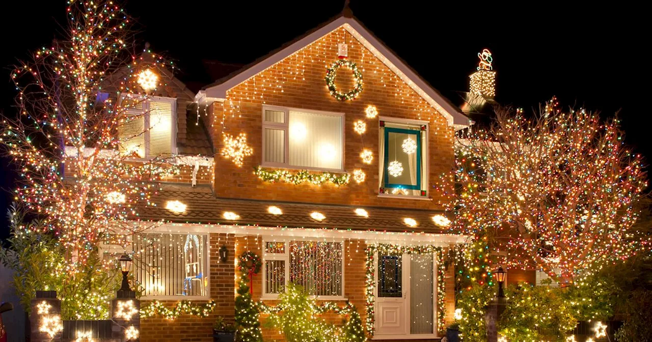 Martin Lewis' MSE says single switch cuts Christmas light cost