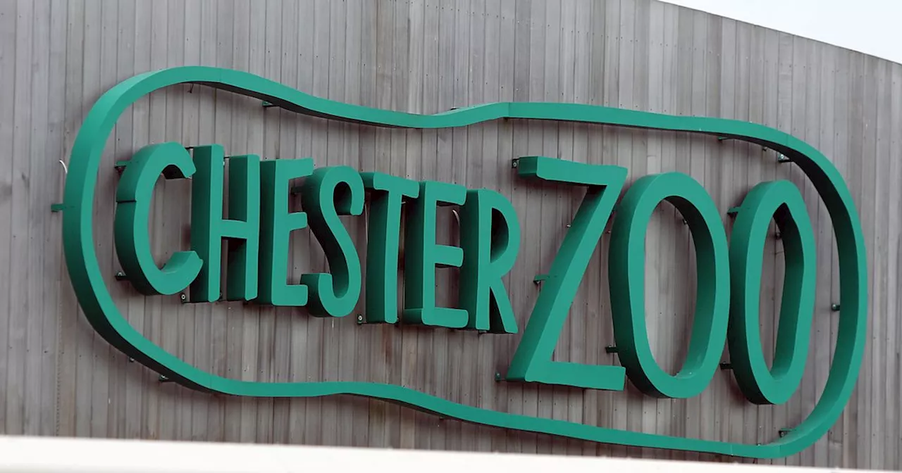 Chester Zoo forced to close due to Storm Darragh