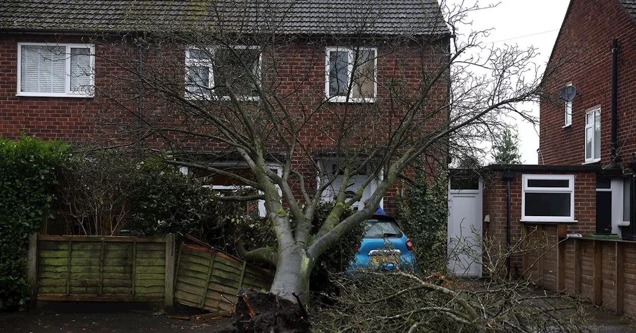 Storm Darragh topples tree which smashes car in leafy Cheshire suburb