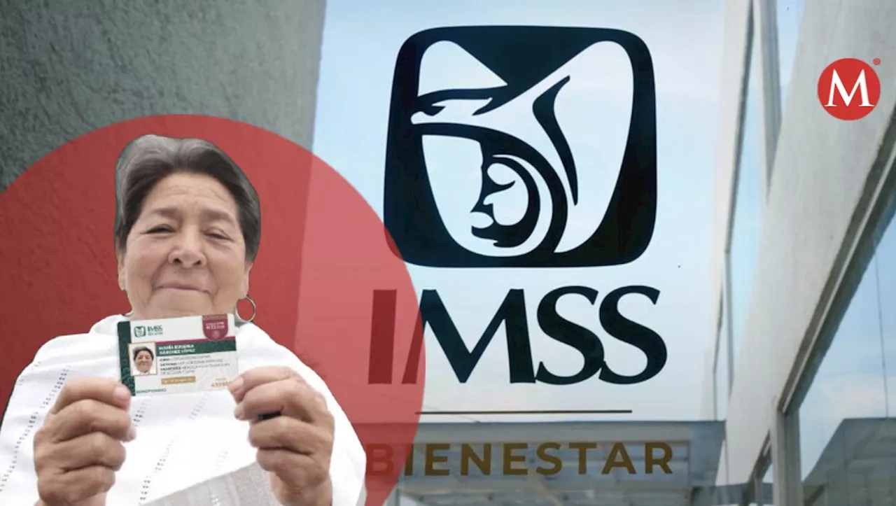 Requisitos indispensables para la FOTO de credencial del IMSS Bienestar: ¿cuáles son?