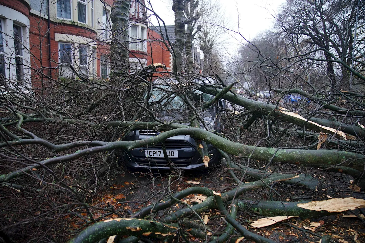 Ein Toter bei Sturm in England - Viele Haushalte ohne Strom