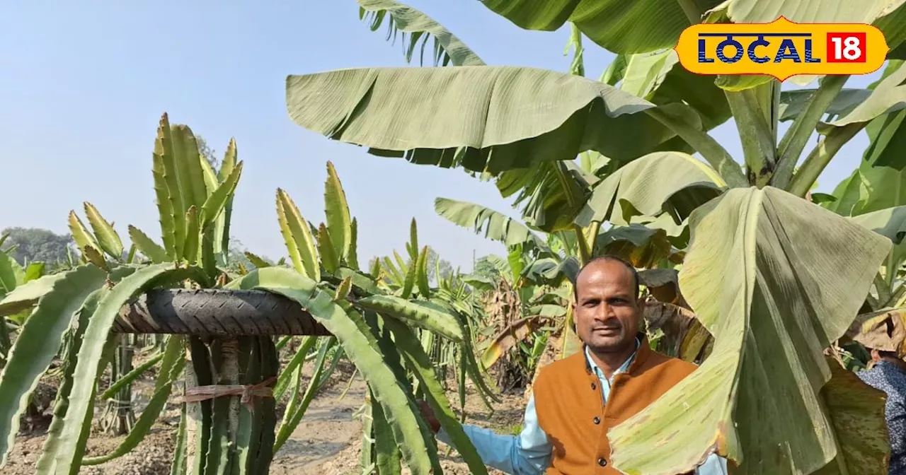 खेती का नया फॉर्मूला, एक ही खेत में उगा दी कई फसल, किसान की कमाई जान कहेंगे वाह!