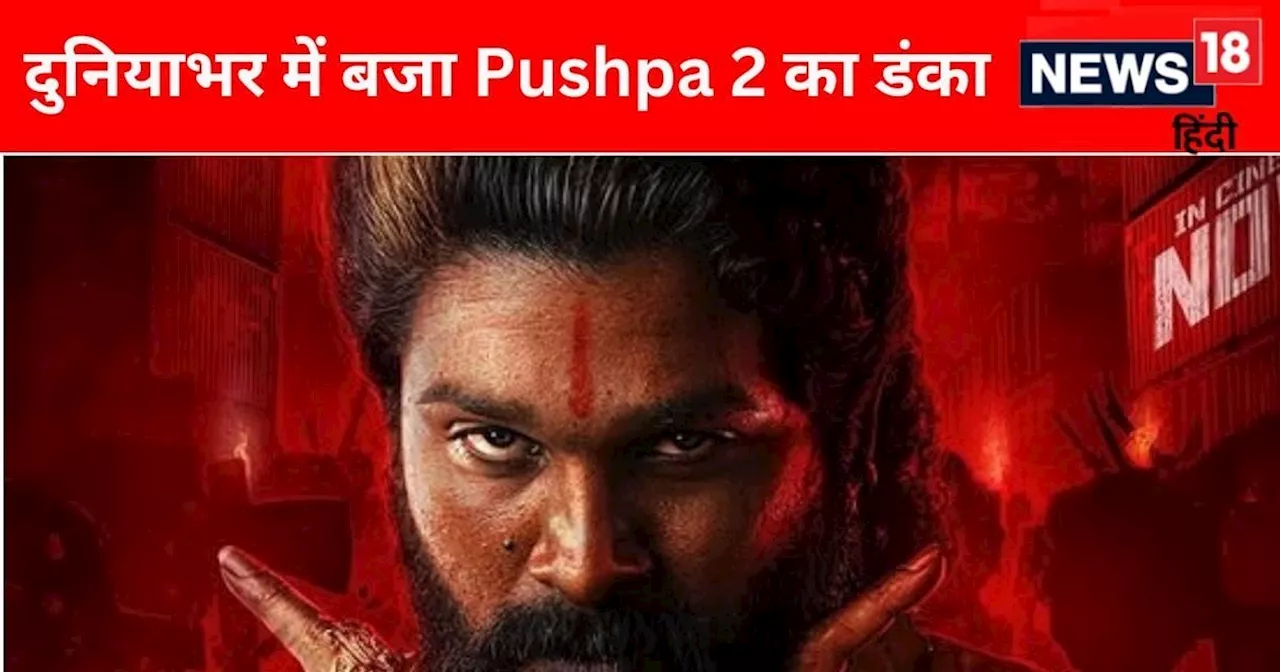 फायर नहीं वाइल्ड फायर निकली Pushpa 2, बॉक्स ऑफिस पर पुष्पा भाऊ का कब्जा, 2 दिनों में 400 करोड़ के पार हुई क...