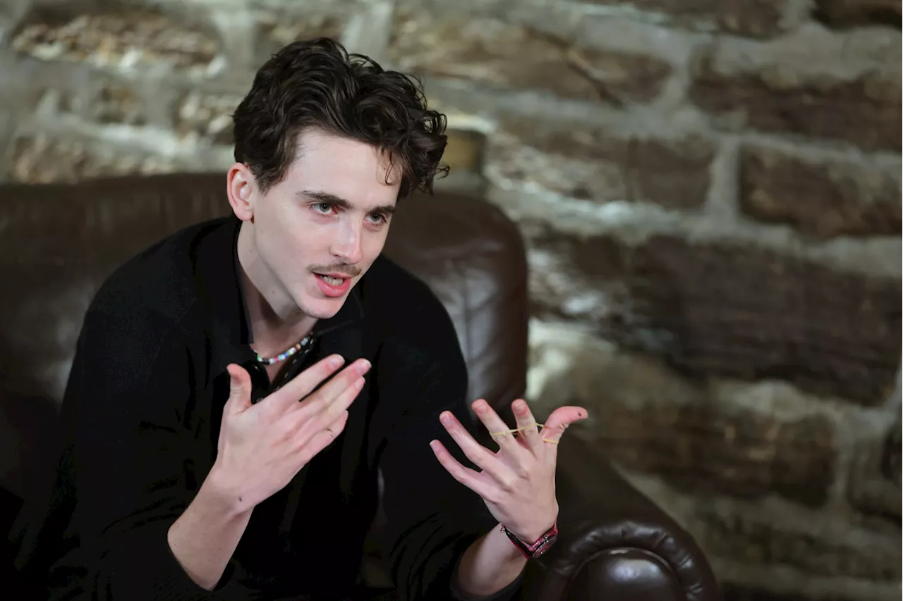 Internet Explodes as Timothee Chalamet Schools 'College Gameday'