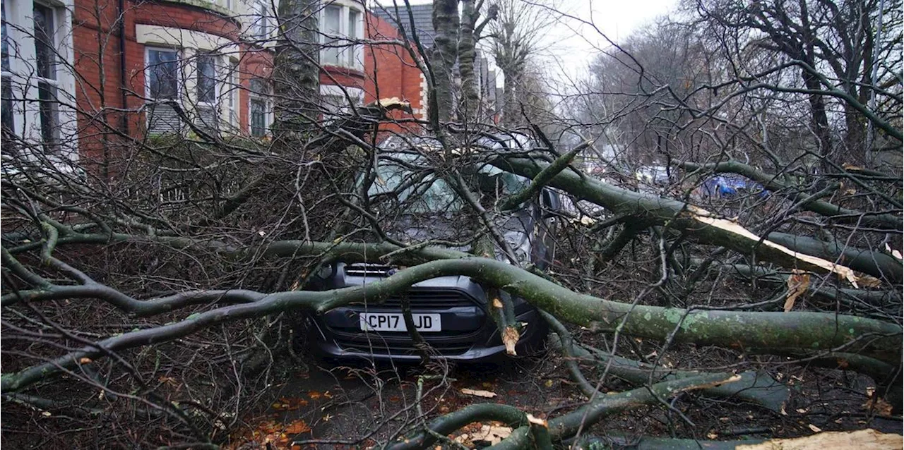 Ein Toter bei Sturm in England - Viele Haushalte ohne Strom