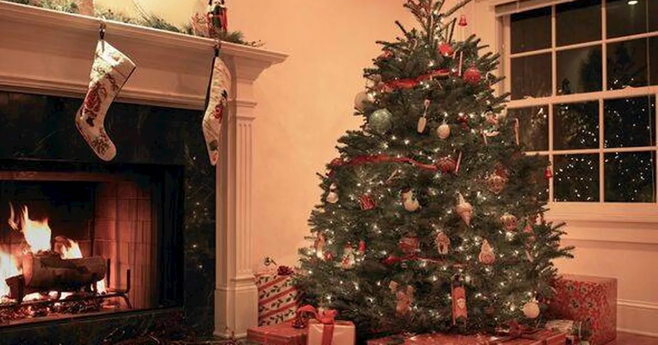 Woman washes artificial Christmas tree and is surprised by the results