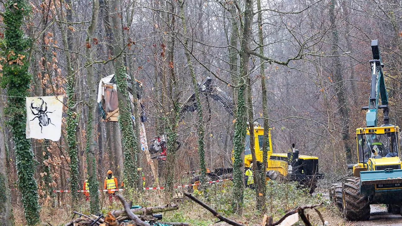 Baden-Württemberg: Aktivisten in besetztem Freiburg-Waldstück festgenommen