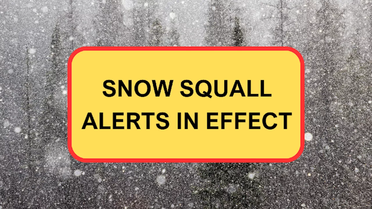 Snow Squall Watches, Warning in effect for western and southern Newfoundland