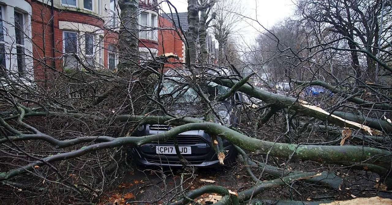 Ein Toter bei Sturm in England - Viele Haushalte ohne Strom