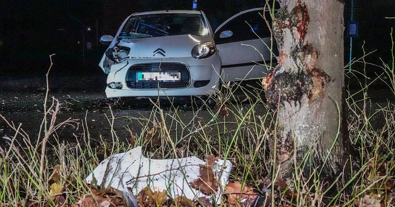 Nach schwerem Unfall: Pkw kollidiert mit Baum im Kreis Gütersloh