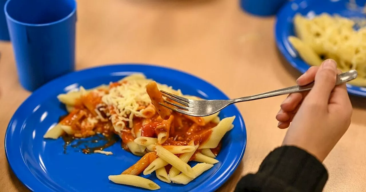 SPD-Generalsekretär will kostenfreies Mittagessen in Schulen