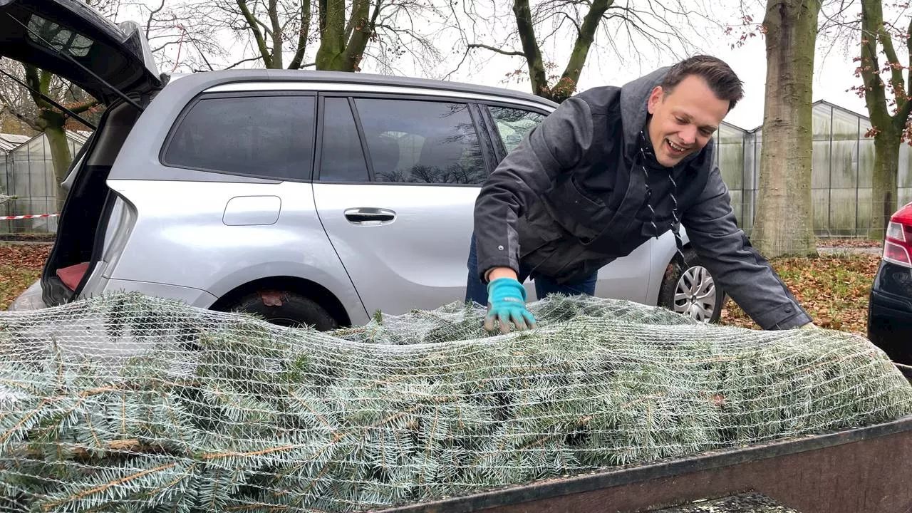 Steeds vaker een kerstboom in huis voor 5 december: 'Dat vind ik onzin'