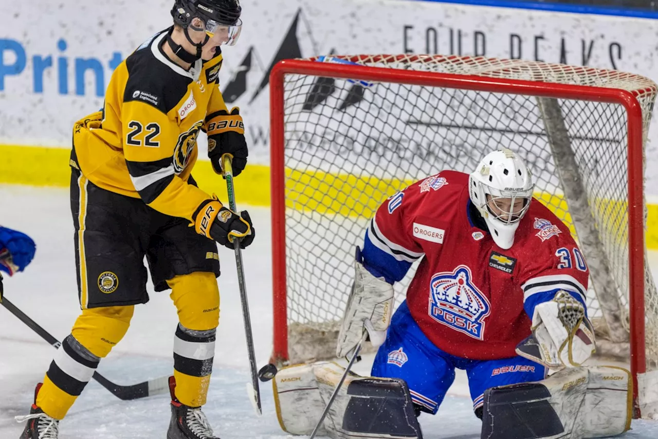 Spruce Kings play teddy bear spoilers in Victoria