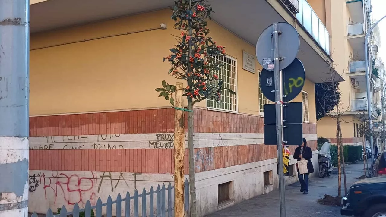 Balduina, iniziati i lavori di messa a dimora di oltre 100 nuove alberi