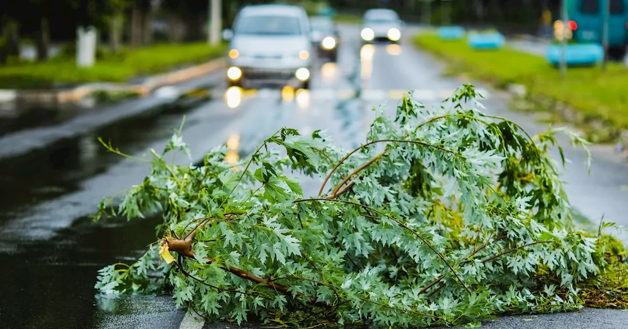 Storm Darragh Update: Almost 400,000 left without power as Met Eireann orange warning continues