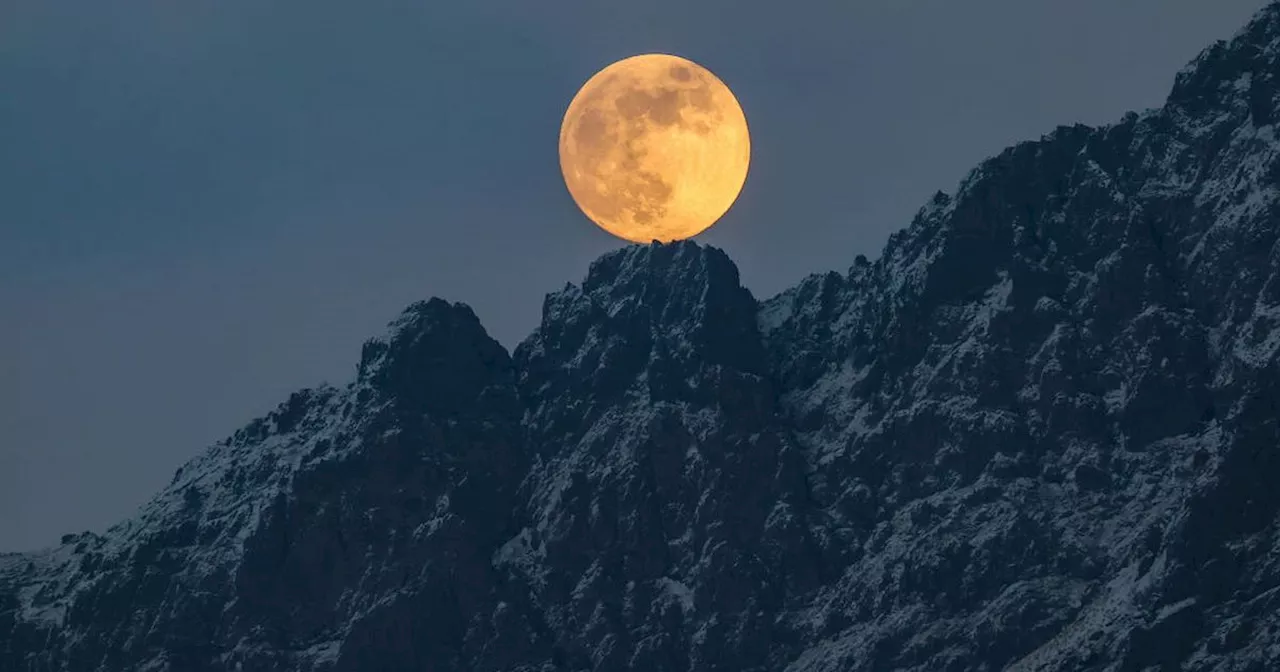 The Cold Full Moon 2024: What the last full moon of the year means for your sign