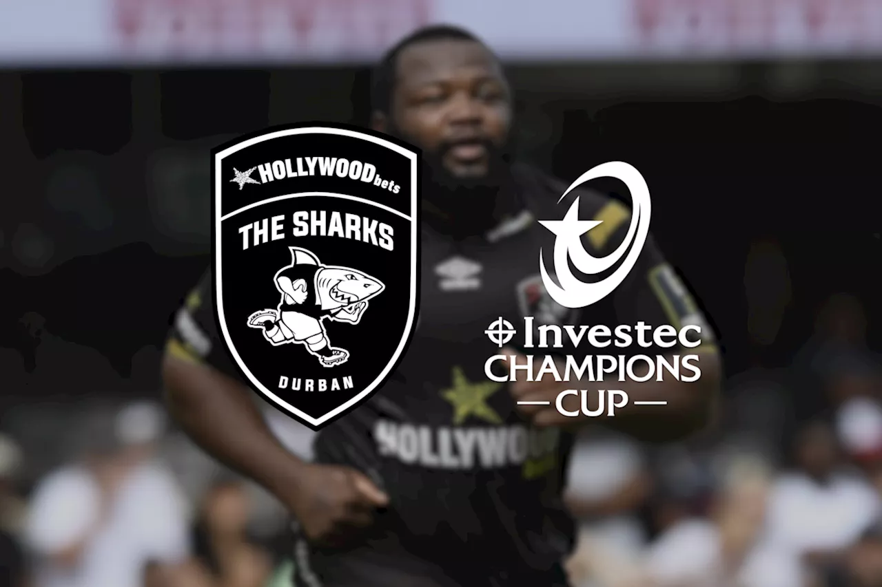 Kolisi stars as Sharks shred Chiefs