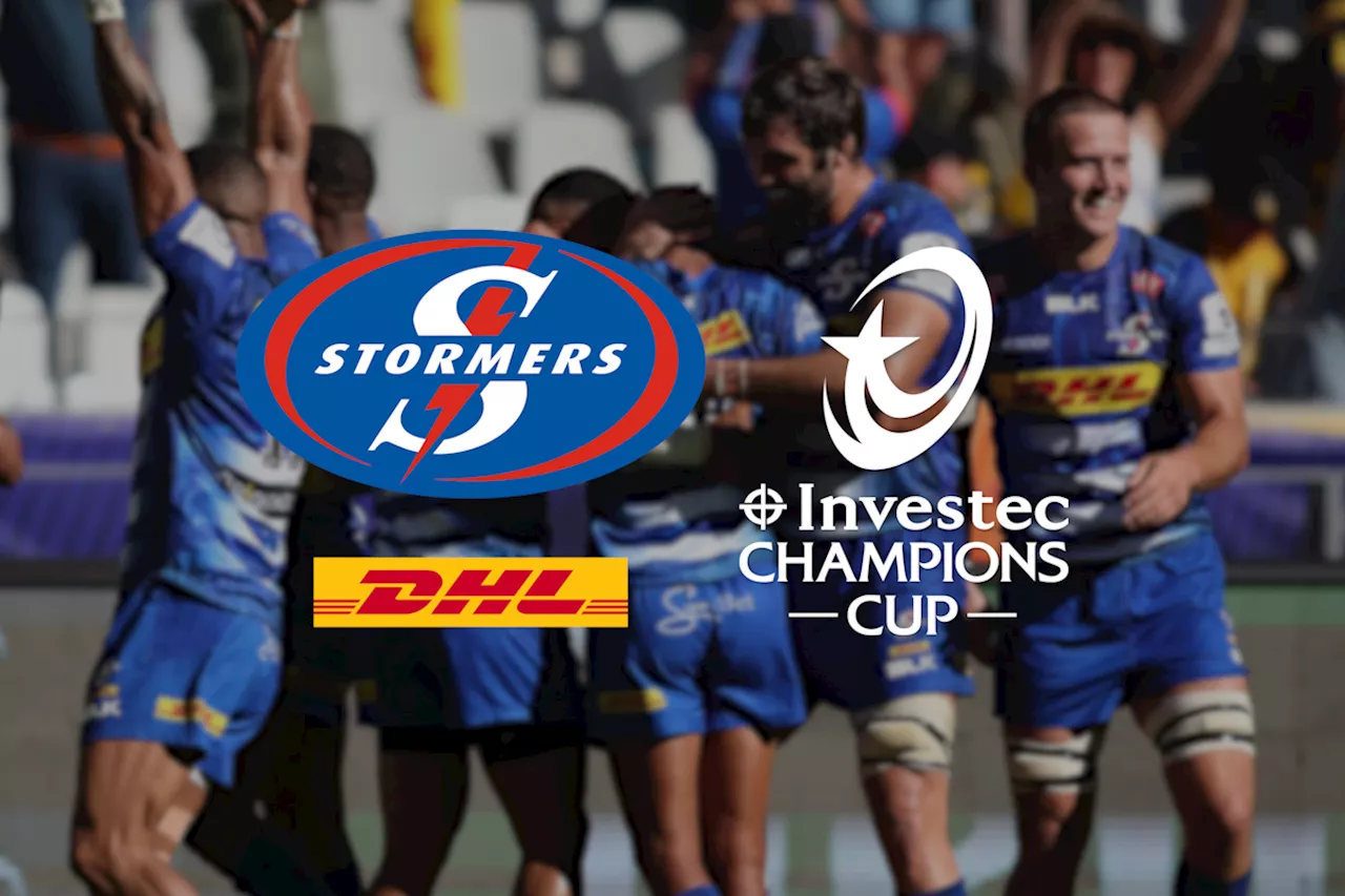 Stormers go down to Toulon in Gqeberha