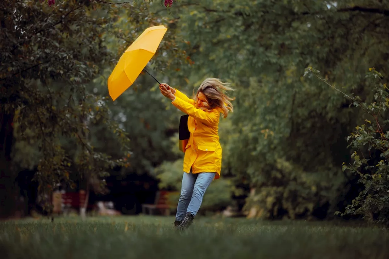 Storm Darragh: Strong winds and rain hit Shropshire - Met Office warning in place