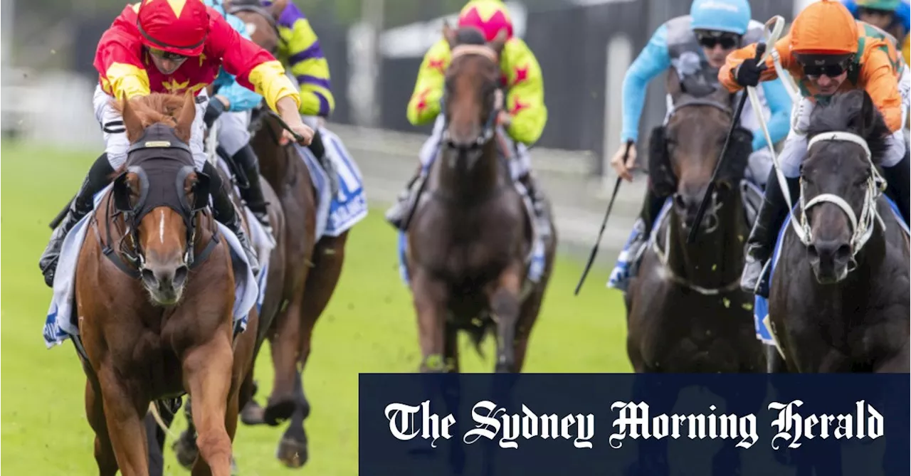 Race-by-race preview and tips for Armidale on Sunday