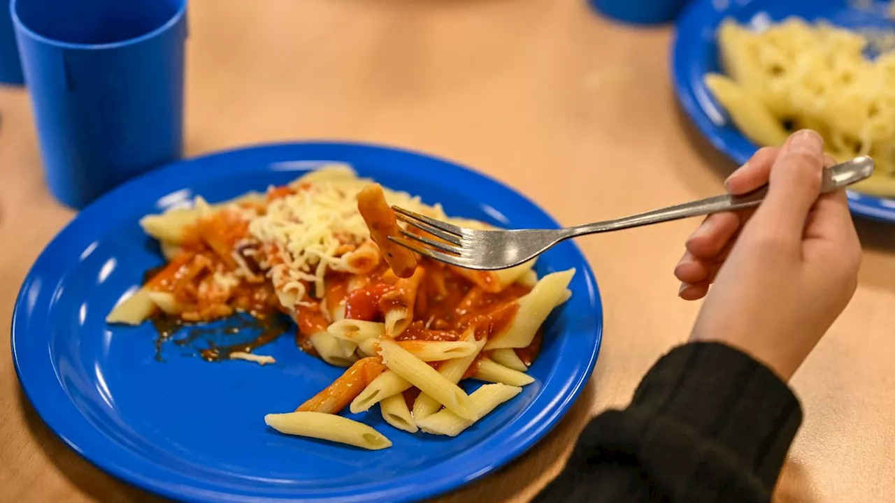 Ernährung: SPD-Generalsekretär will kostenfreies Mittagessen in Schulen