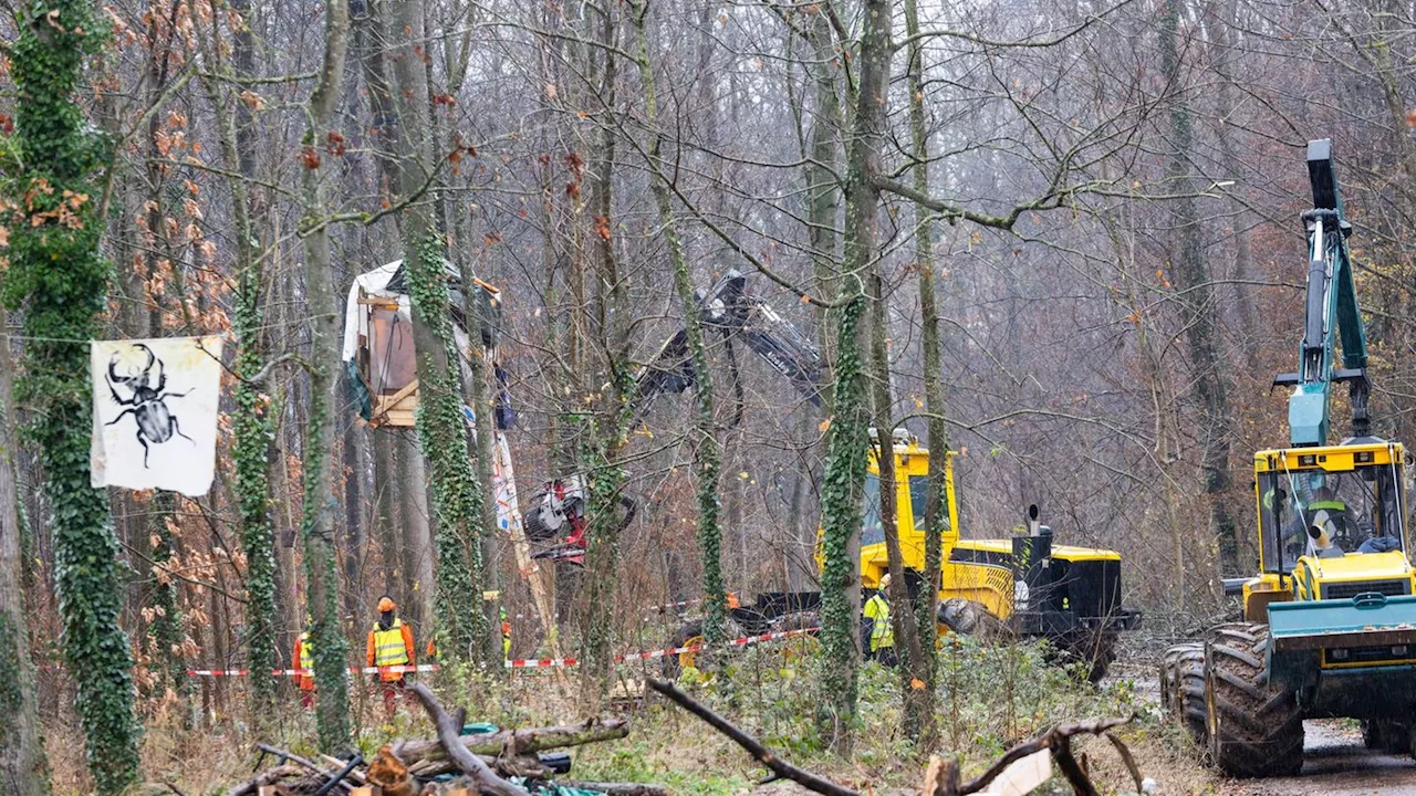 Neubaugebiet: Aktivisten in besetztem Freiburg-Waldstück festgenommen