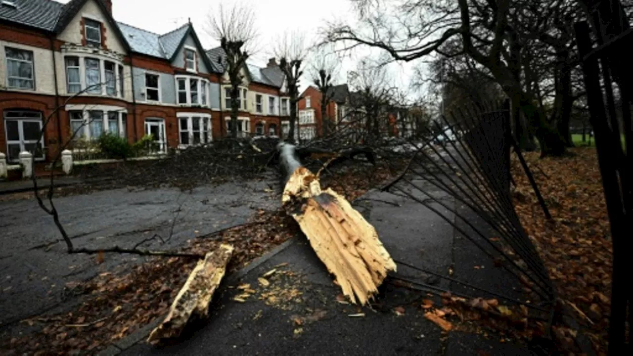 Sturm 'Darragh': Zehntausende in Großbritannien ohne Strom - Mann von Baum erschlagen