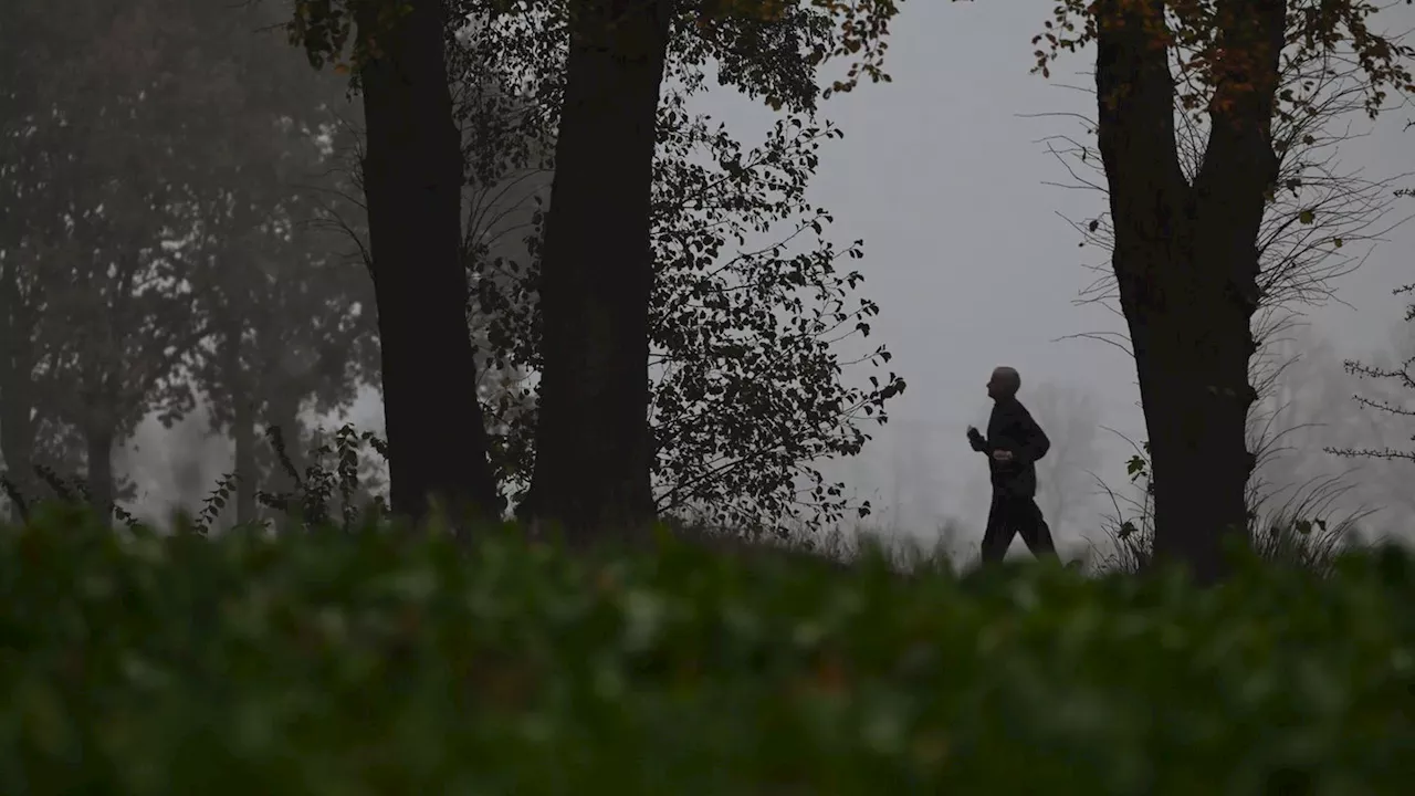 Wetter: Milde Temperaturen und Regen in Niedersachsen