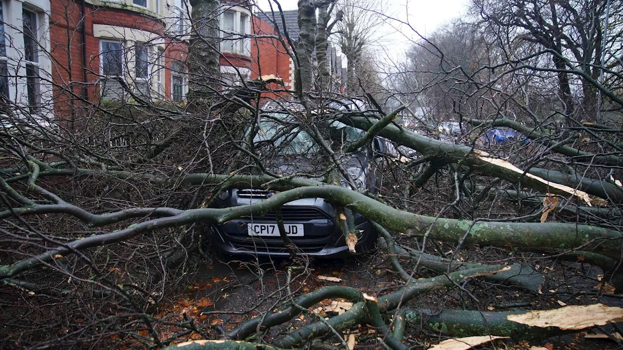 Wetterwarnung wegen 'Darragh': Ein Toter bei Sturm in England - Viele Haushalte ohne Strom