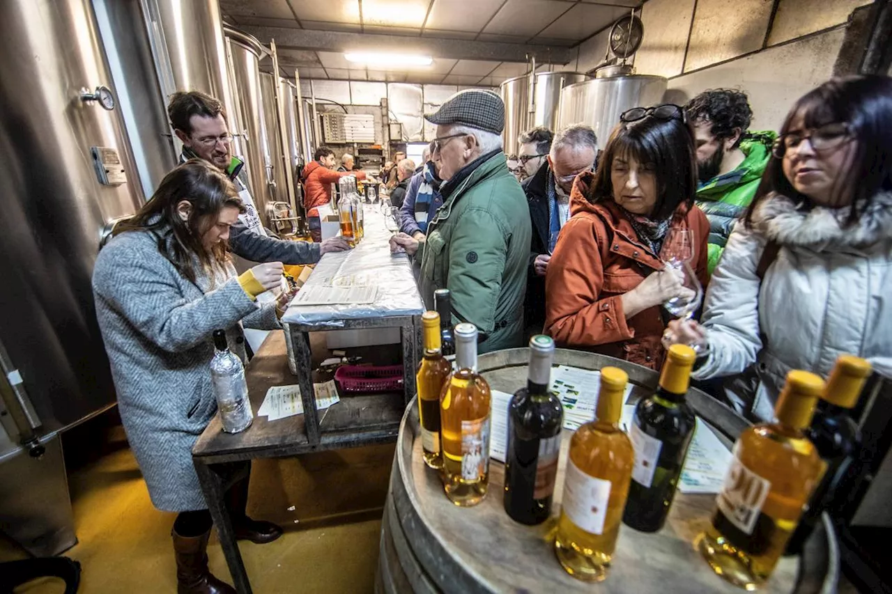 Béarn : La Route des vins du Jurançon, c’est ce dimanche 8 décembre