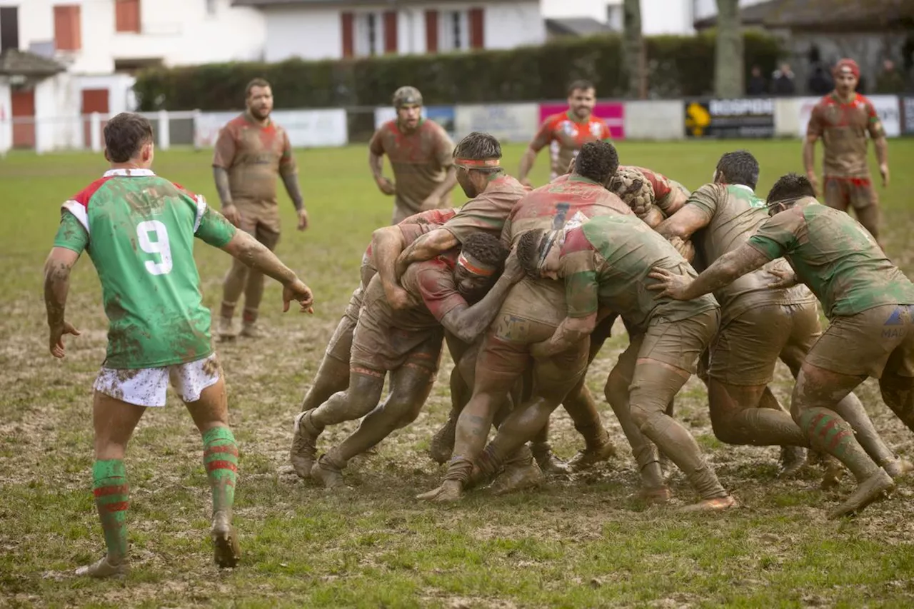 Rugby (Nationale 2) : Mauléon se bonifie et enfonce Saint-Jean-de-Luz