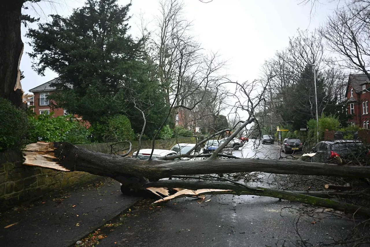 Tempête Darragh : transports à l’arrêt et coupures de courant au Royaume-Uni