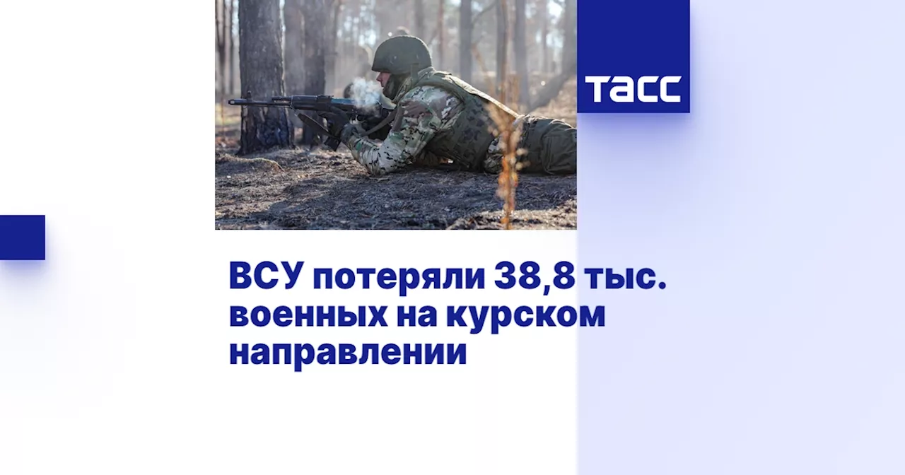 ВСУ потеряли 38,8 тыс. военных на курском направлении