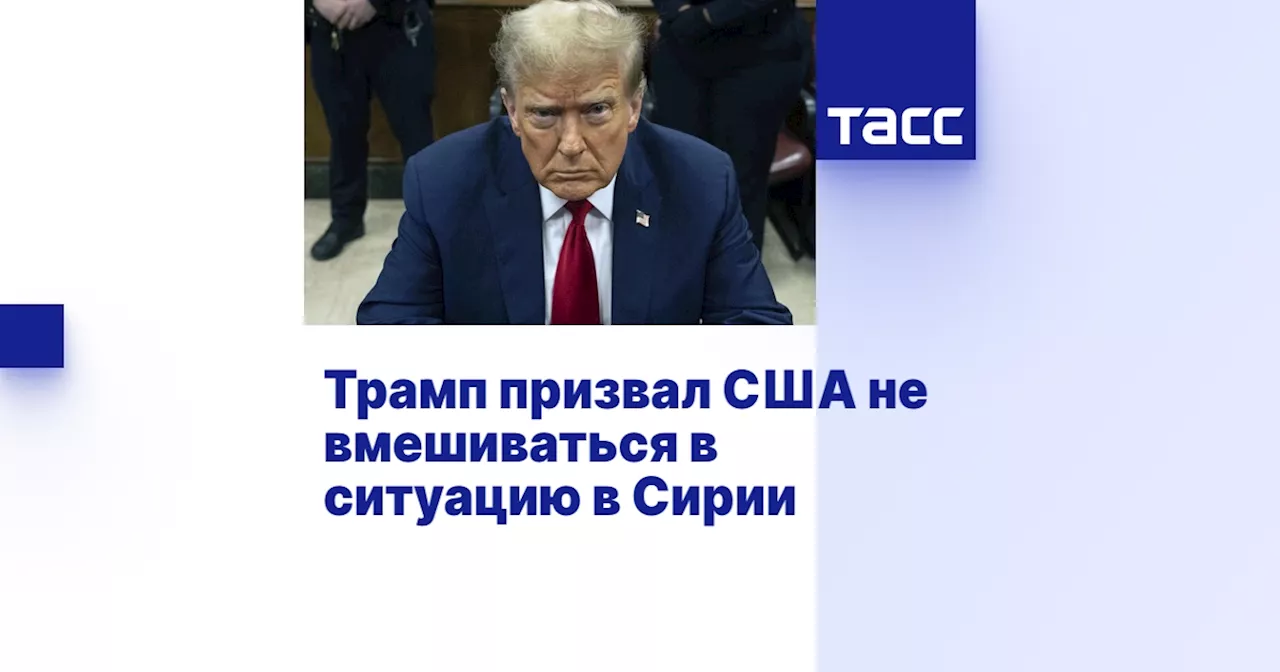 Трамп призвал США не вмешиваться в ситуацию в Сирии