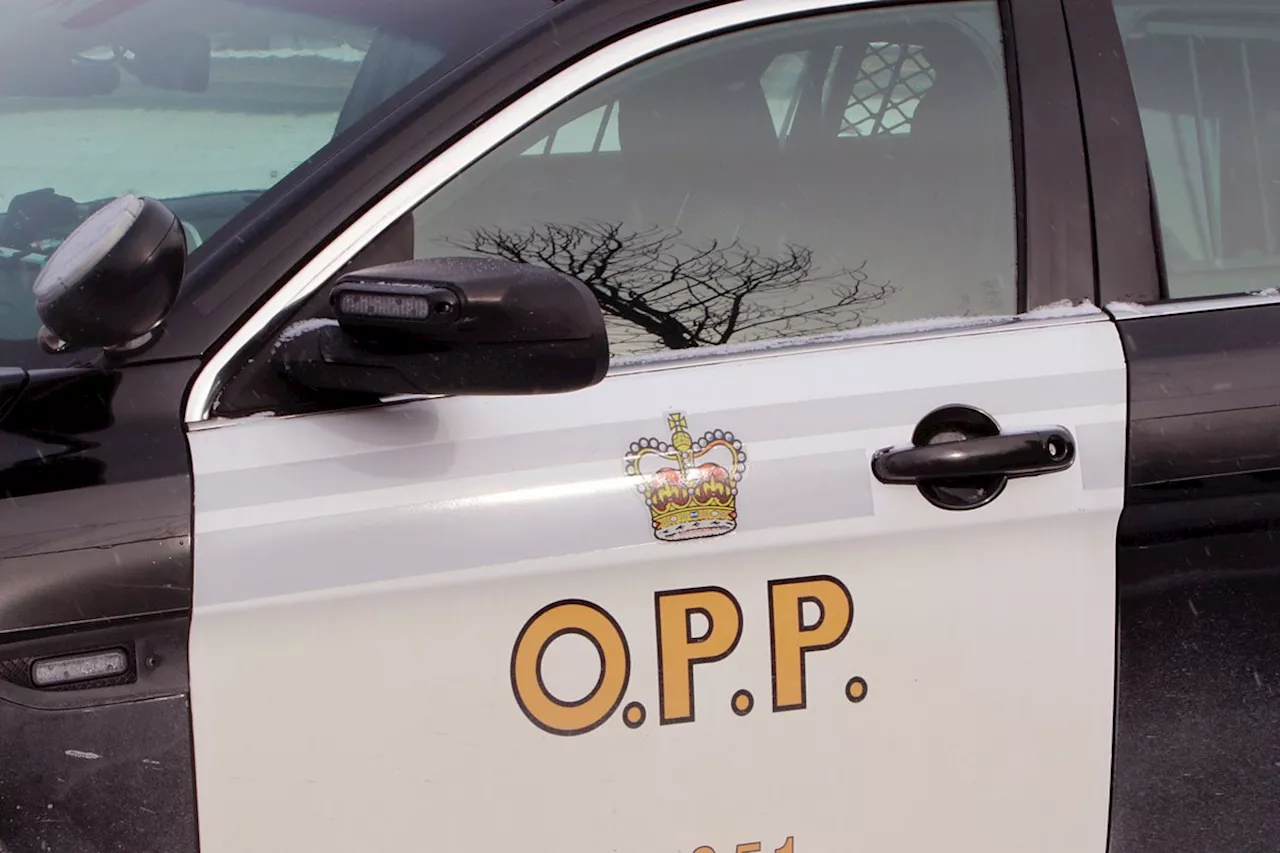 OPP is reminding motorists to stay alert and in control this season