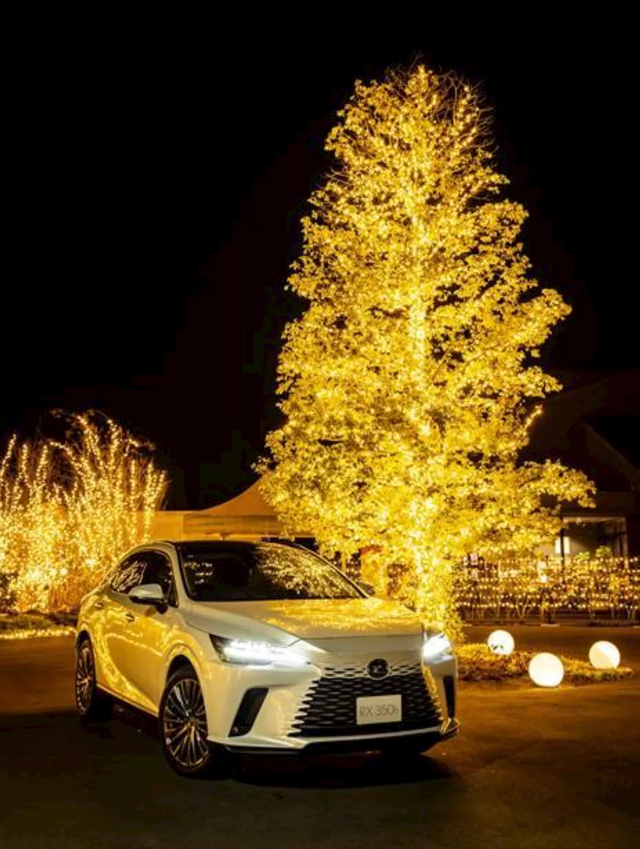 Make December a Christmas to cherish with Lexus