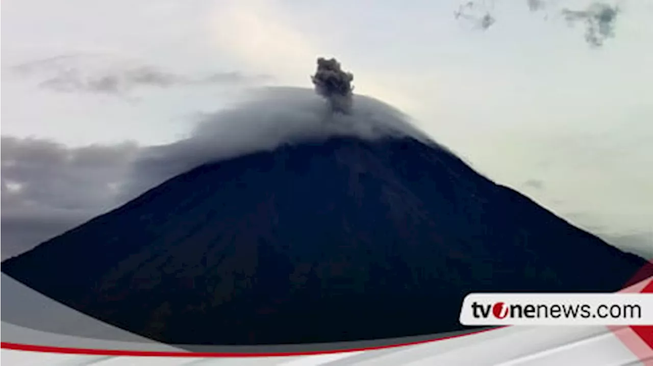 Gunung Semeru Kembali Erupsi Pagi Ini, Semburkan Kolom Abu 800 Meter