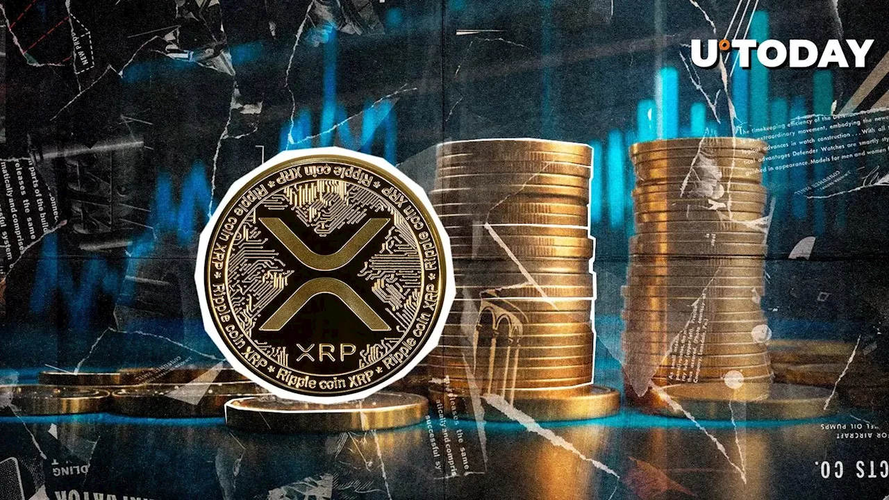 20 Million XRP on Move as XRP Price Makes Comeback