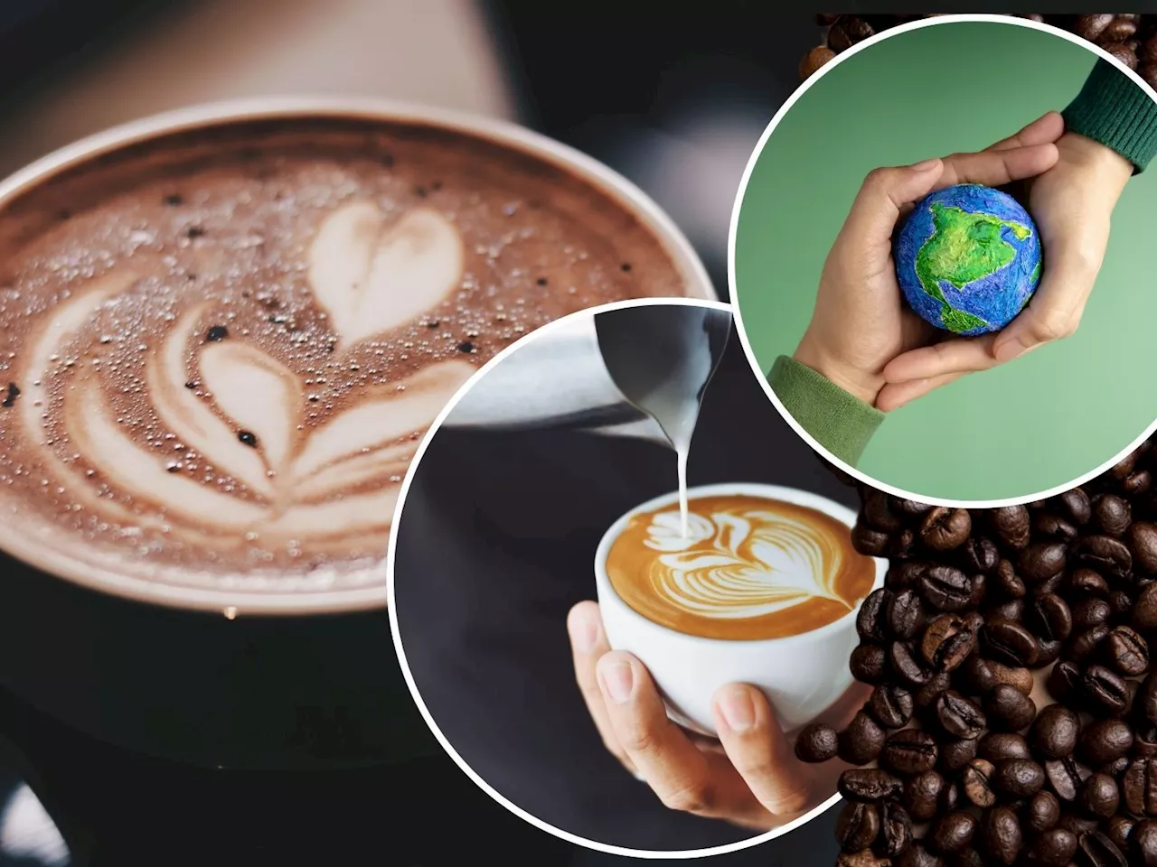 Von Bohne bis Tasse: Vorarlbergs Top 10 nachhaltige Kaffee-Hotspots