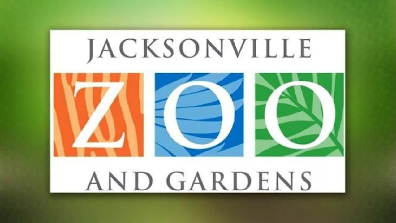 Warthog on the loose closes Jacksonville Zoo on Friday night