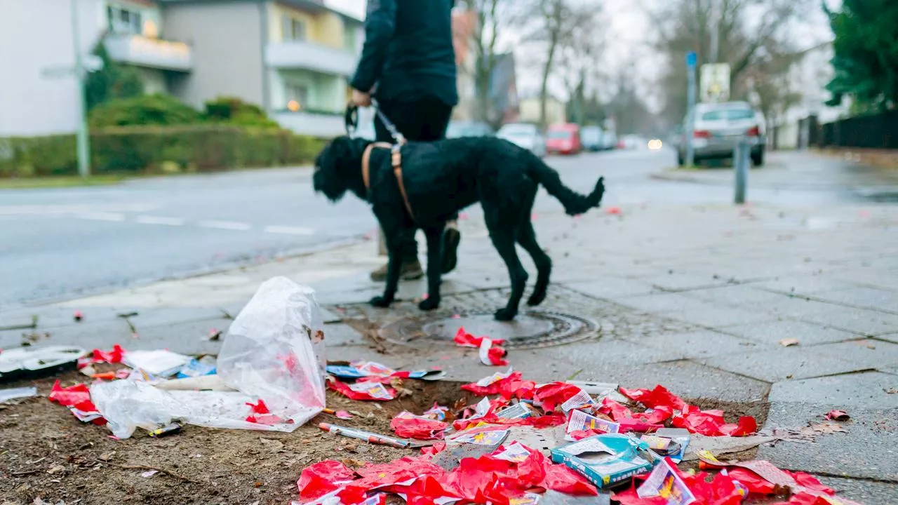 Haustiere an Silvester schützen: Der Umgang mit der Angst