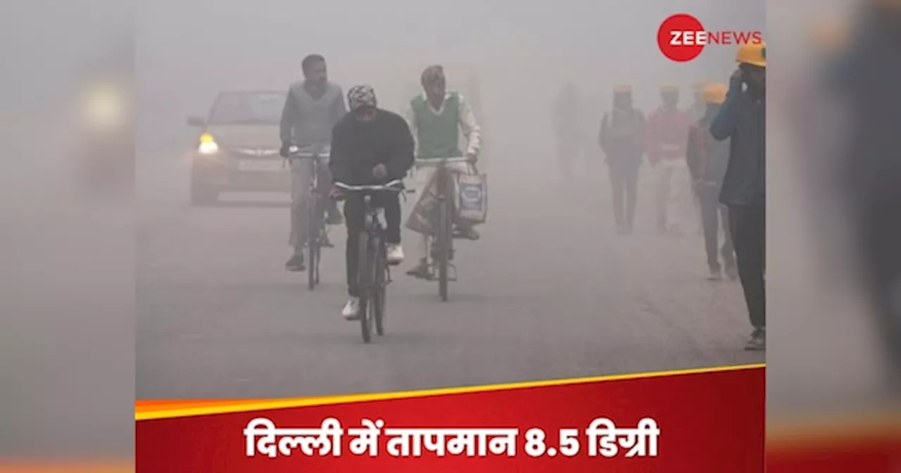 Coldwave Alert: इस दिन से जोर पकड़ेगी सर्दी, कड़ाके की ठंड के लिए हो जाएं तैयार; IMD ने दी चेतावनी