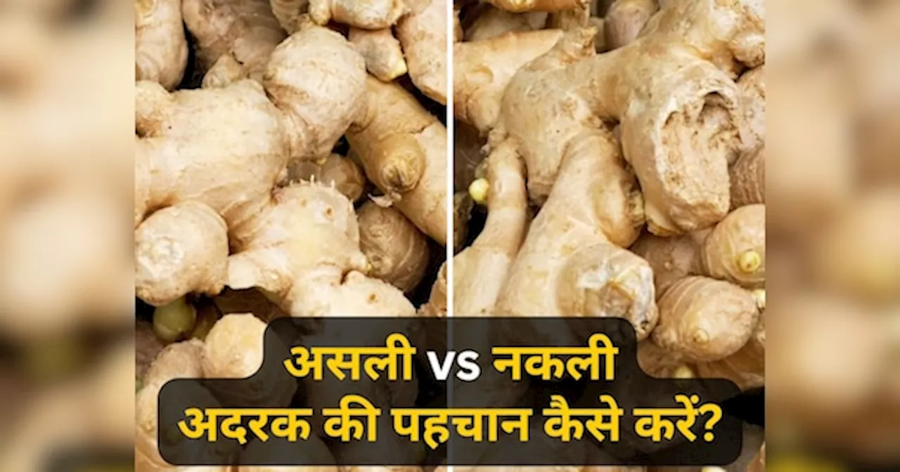 Fake Ginger: ठंड में चाय का मजा न बन जाए कैंसर की वजह! बाजारों में बिक रही नकली अदरक, इस तरह करें असली की पहचान