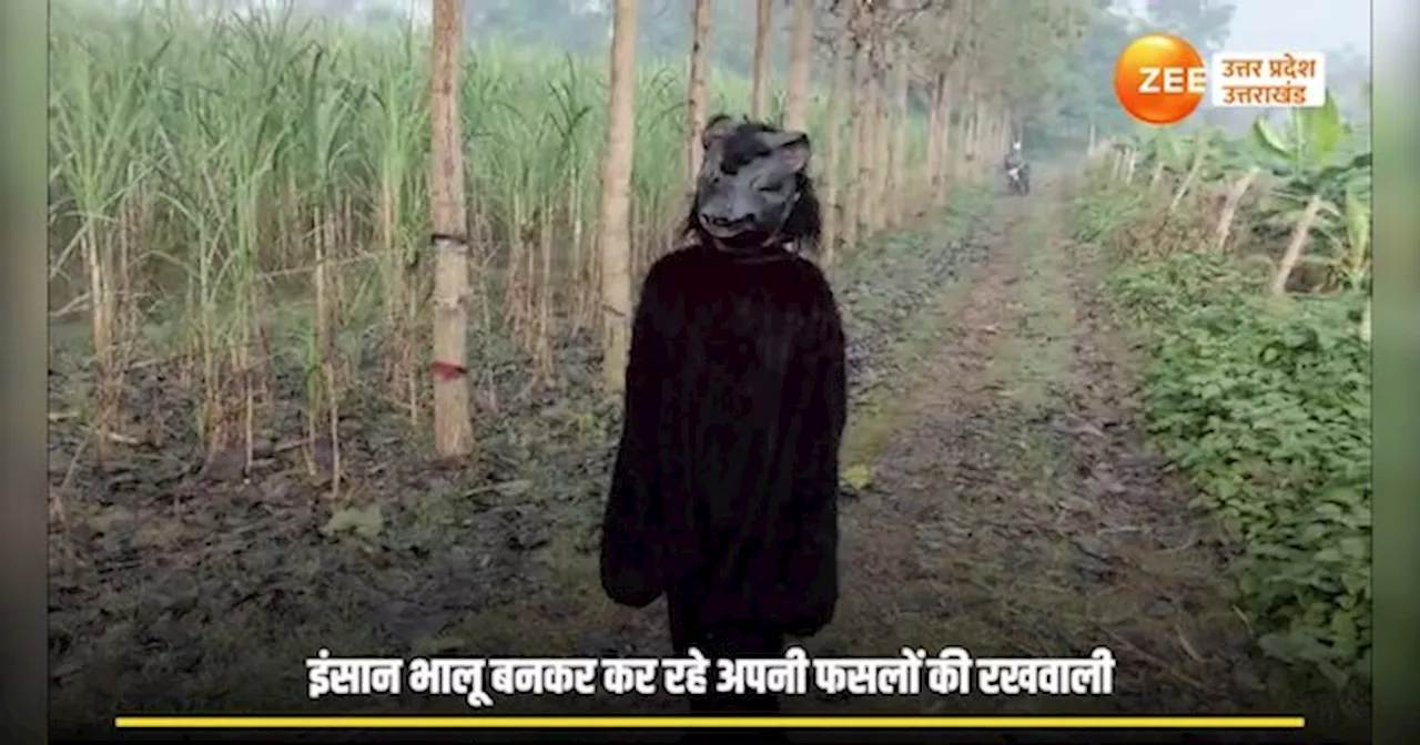 Lakhimpur Kheri Video: इंसान बना भालू, लखीमपुर खीरी से हैरान करने वाला वीडियो आया सामने