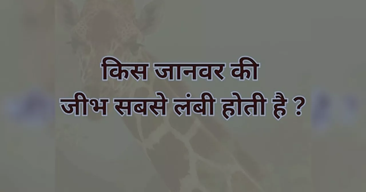 Trending Quiz: किस जानवर की जीभ सबसे लंबी होती है ?