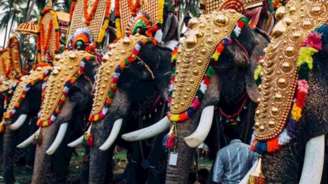 Uthralikavu Pooram: ആന എഴുന്നള്ളിപ്പിലെ ഹൈക്കോടതി മാർഗനിർദേശങ്ങൾ; പ്രമേയം പാസാക്കി ഉത്രാളിക്കാവ് കോർഡിനേഷൻ കമ്മിറ്റി