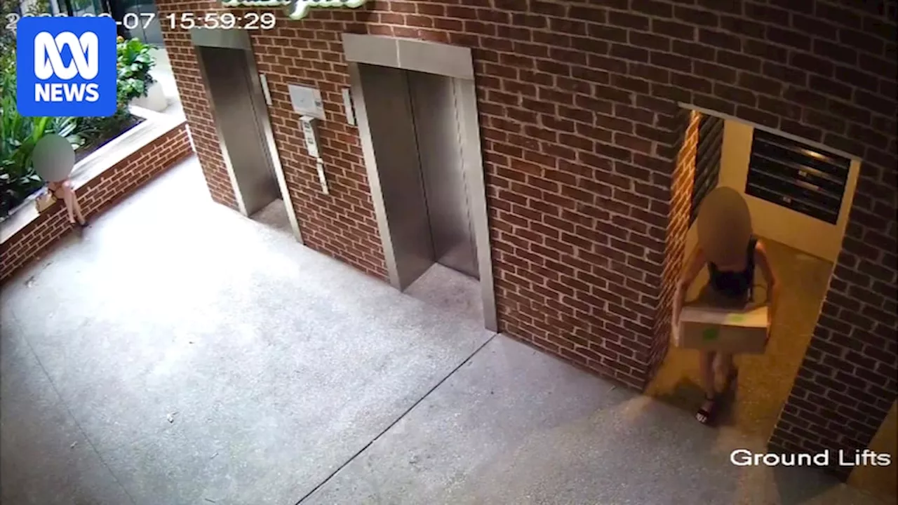 Brazen parcel thieves lifting packages from apartment lobbies amid warnings thefts likely to increase around Christmas