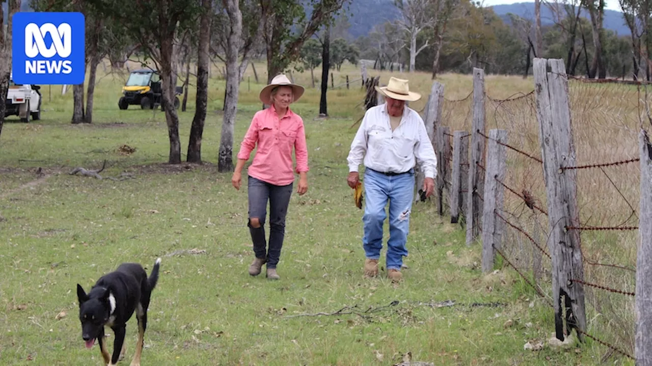 NSW bushfire victims fight after Queensland farmers receive more cash